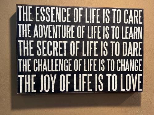 The Essence of Life